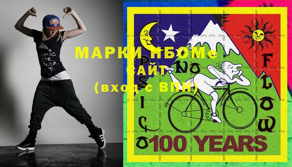 шишки Сатка