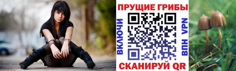 Псилоцибиновые грибы мухоморы  даркнет сайт  Донской 