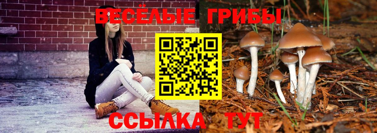 Галлюциногенные грибы ЛСД Донской