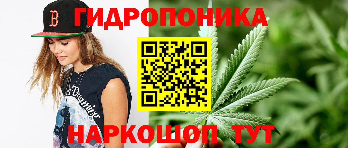 Канабис марихуана  Конопля марихуана  Донской  Бошки Шишки гибрид  Вход с VPN 